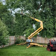 Best Tree Cabling and Bracing  in Stonecrest, GA